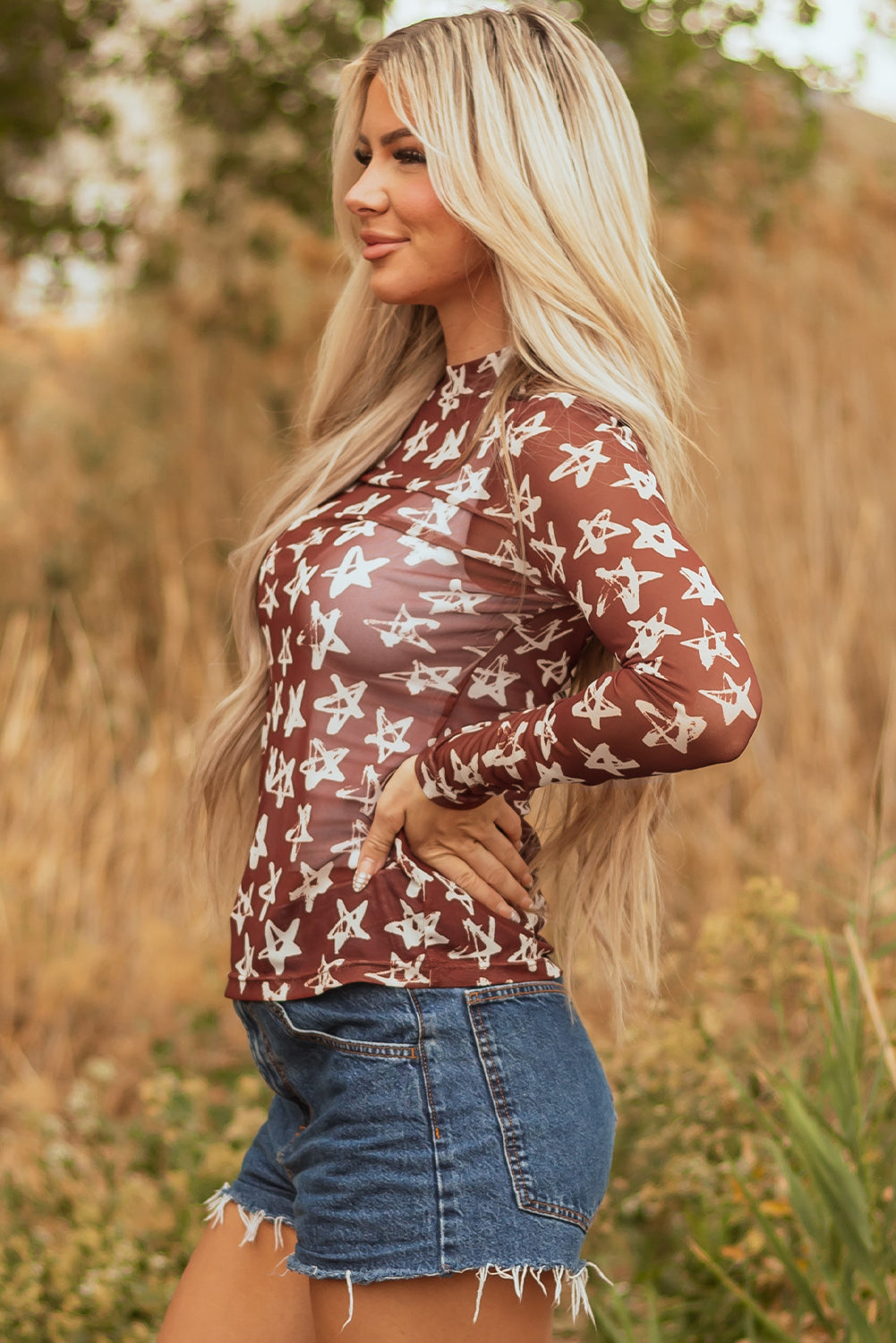 Print Mesh Star Mock-Neck Sheath Long-Sleeved Top