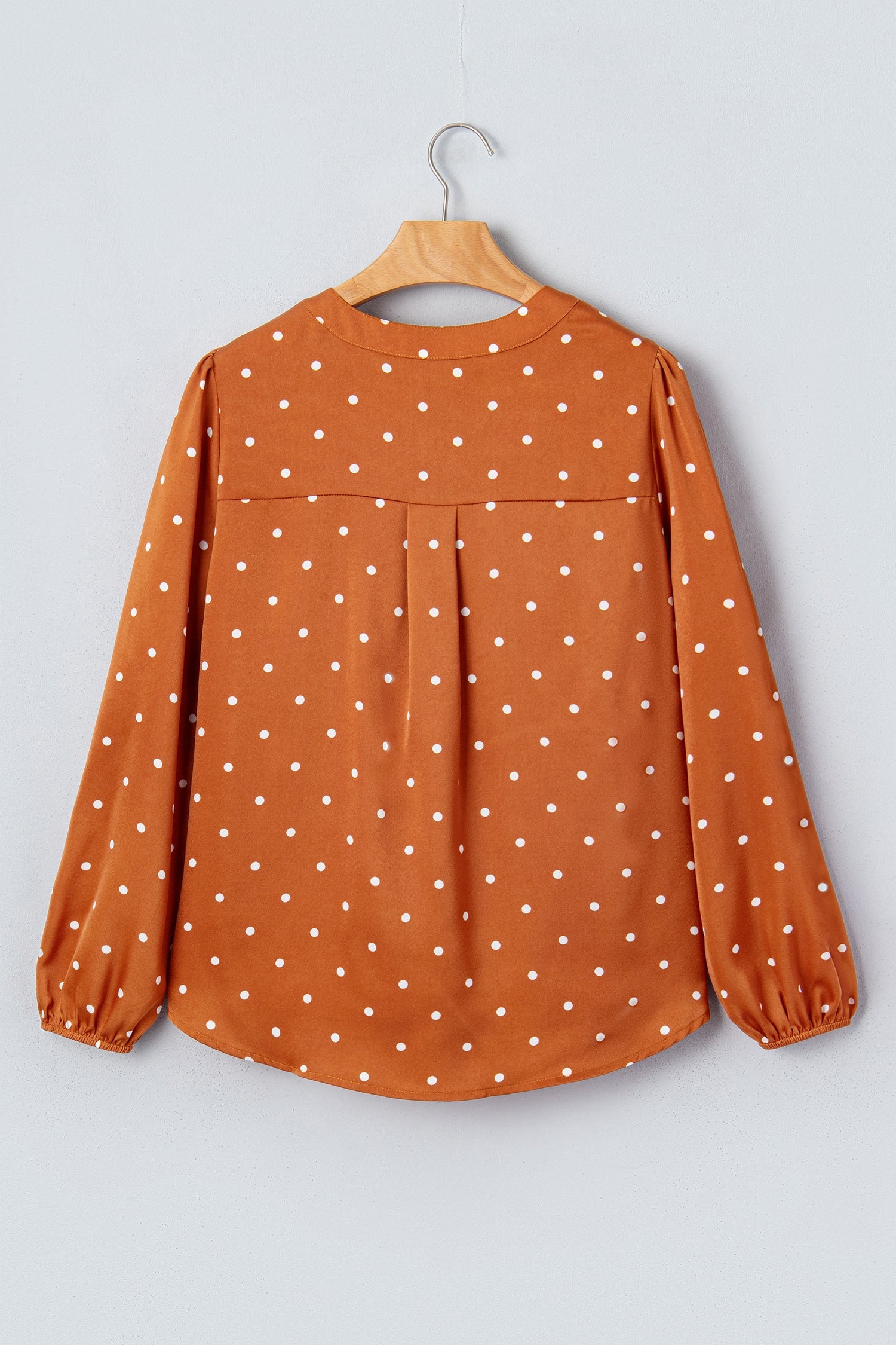 Long-Sleeved Polka-Dot V-Neck Blouse in Brown