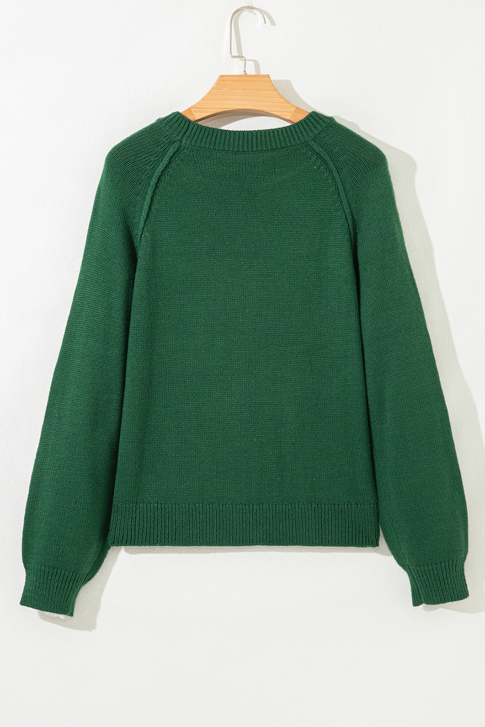 Evergreen Raglan Sleeve Crew-Neck Knit Top