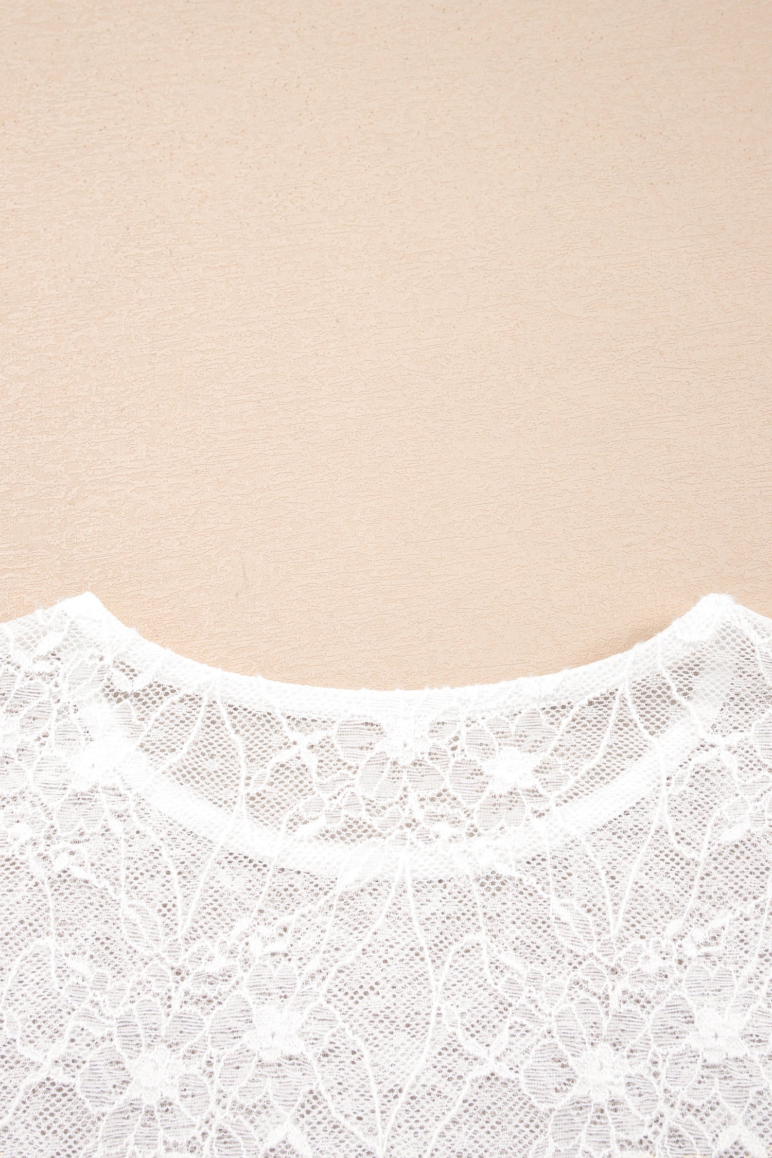 Sheer Mesh Long-Sleeved Mesh Lace Top in Beige