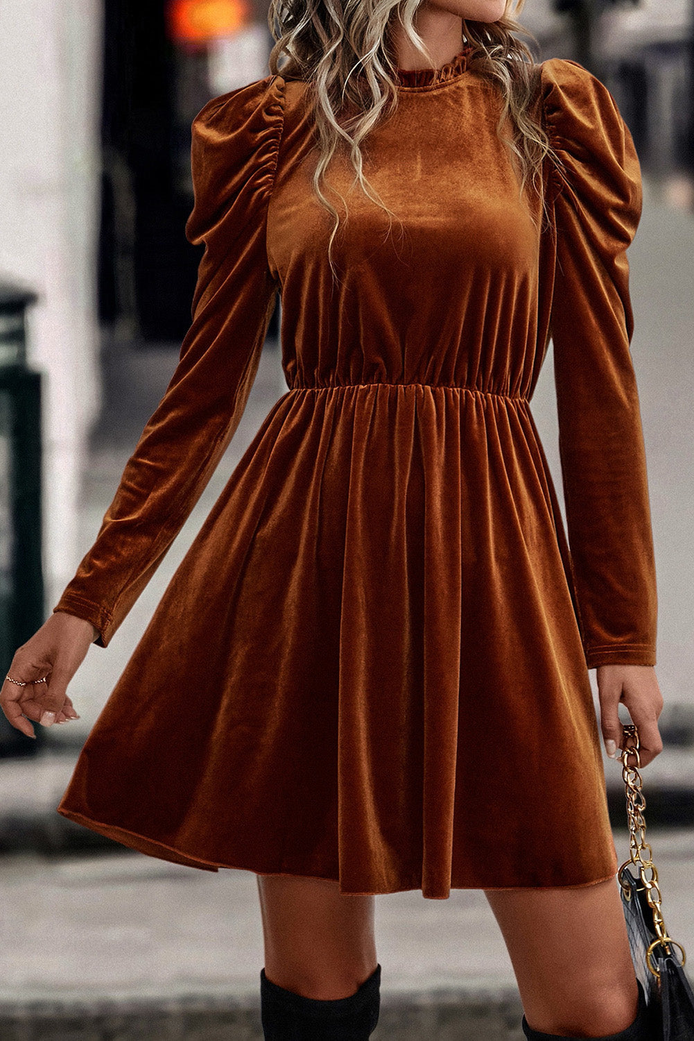 Women's Dress Featuring Velvet Frill-Trimmed Gigot Sleeve Swing