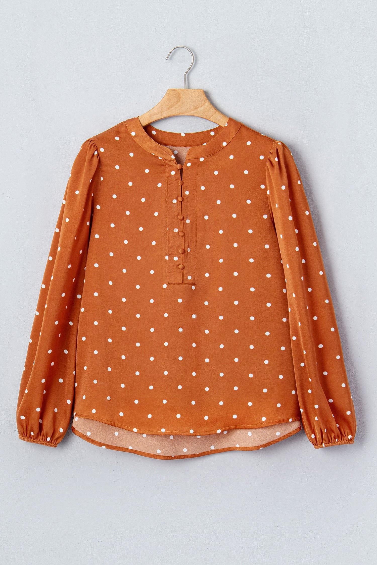 Long-Sleeved Polka-Dot V-Neck Blouse in Brown