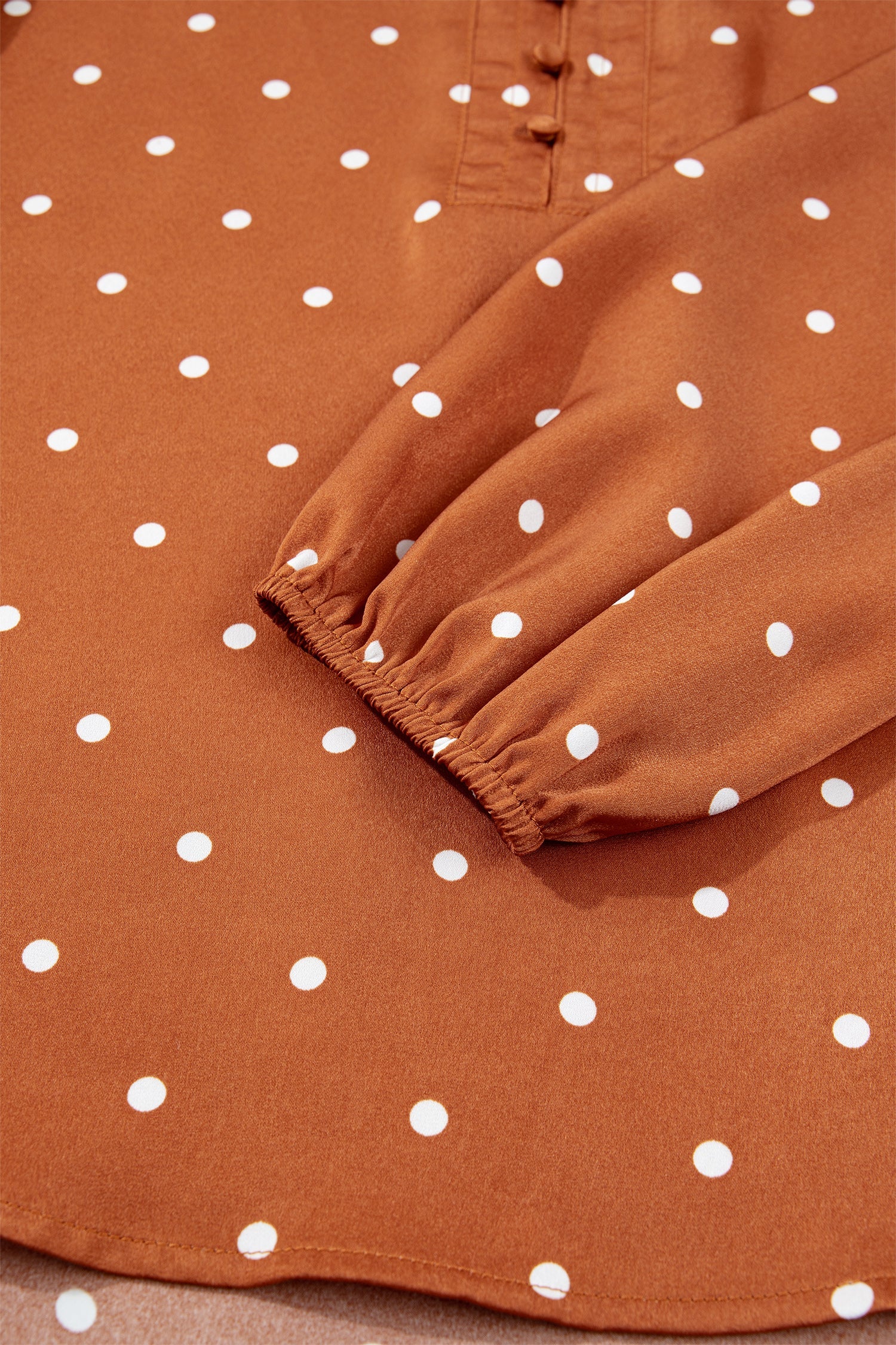 Long-Sleeved Polka-Dot V-Neck Blouse in Brown