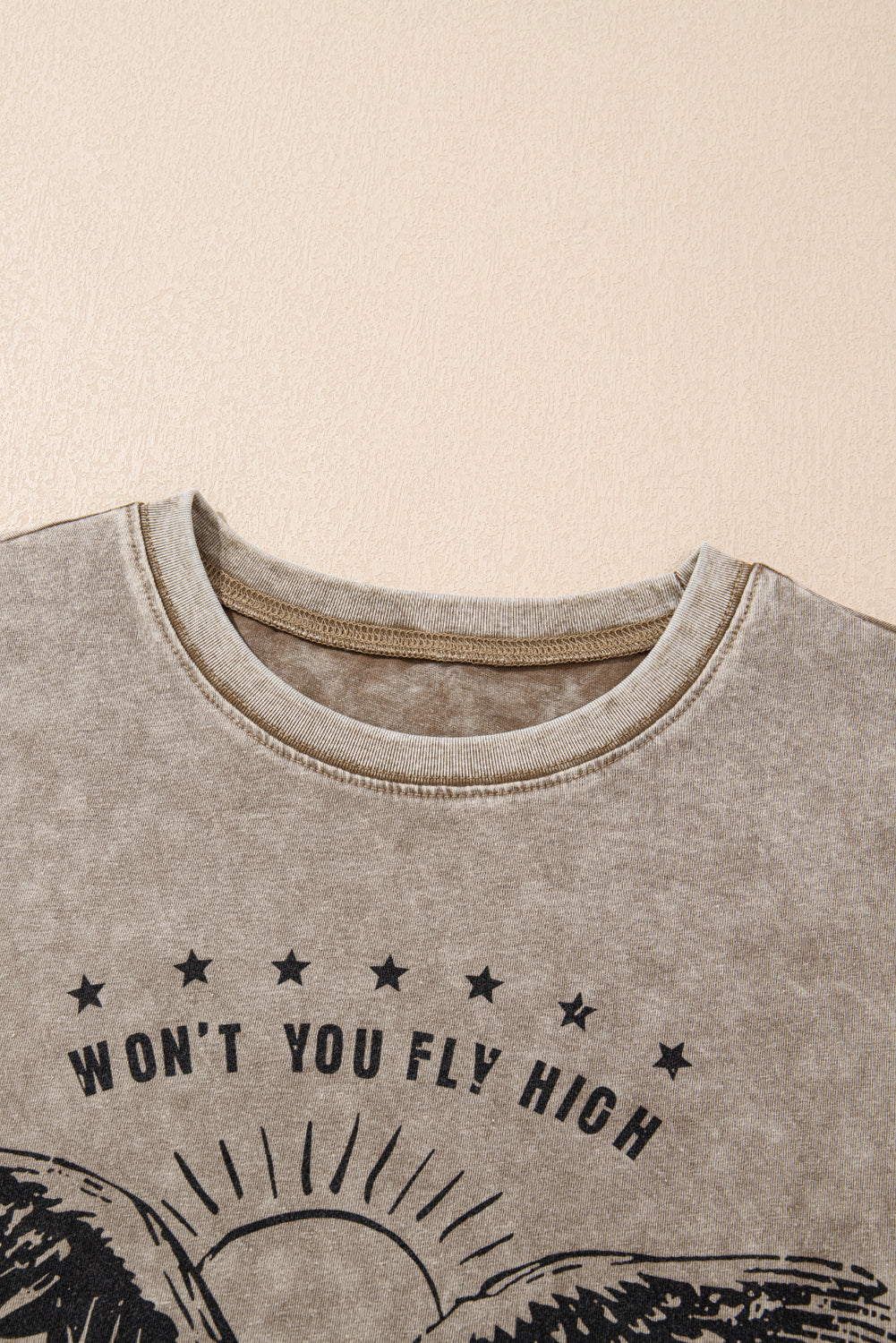 AMERICA FREE BIRD Vintage Graphic Mineral Washed Tee