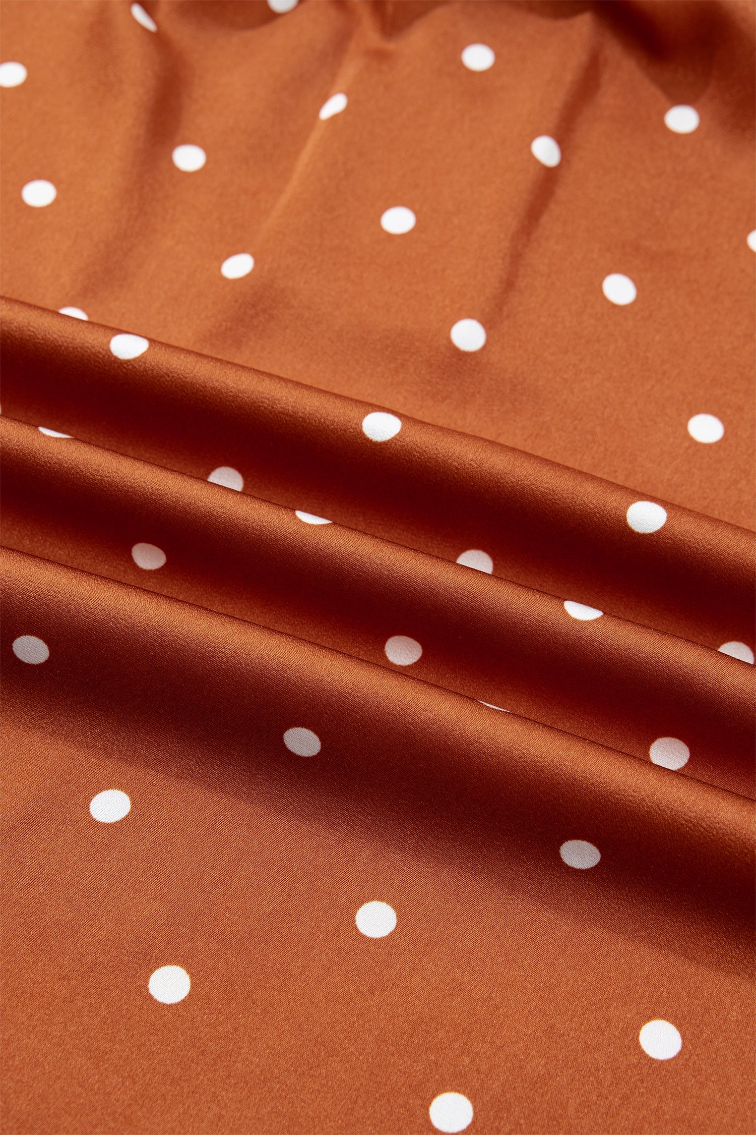 Long-Sleeved Polka-Dot V-Neck Blouse in Brown