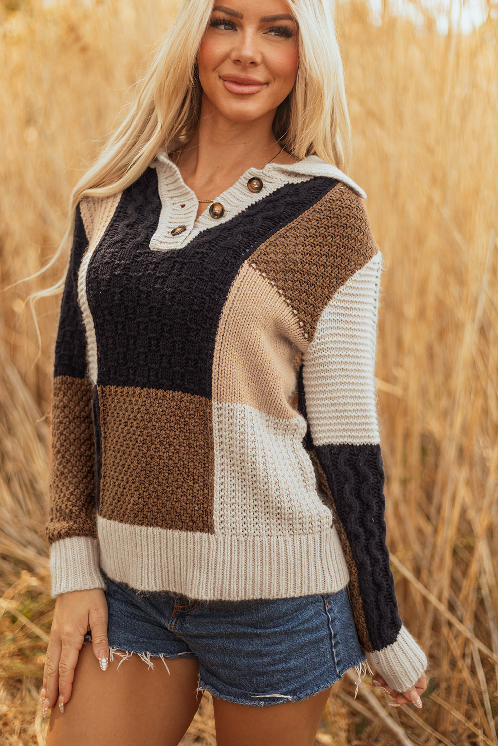 Knit Colorblock Cable Sleeve Buttons Collared Knit Top