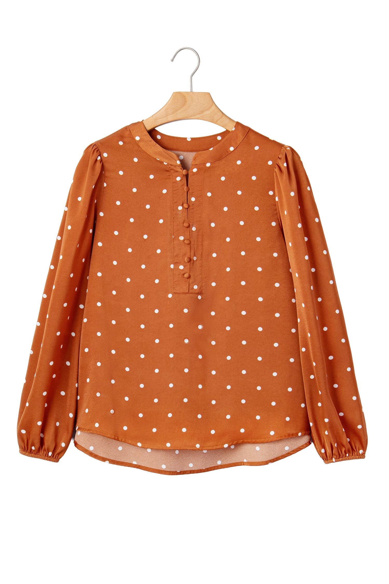 Long-Sleeved Polka-Dot V-Neck Blouse in Brown