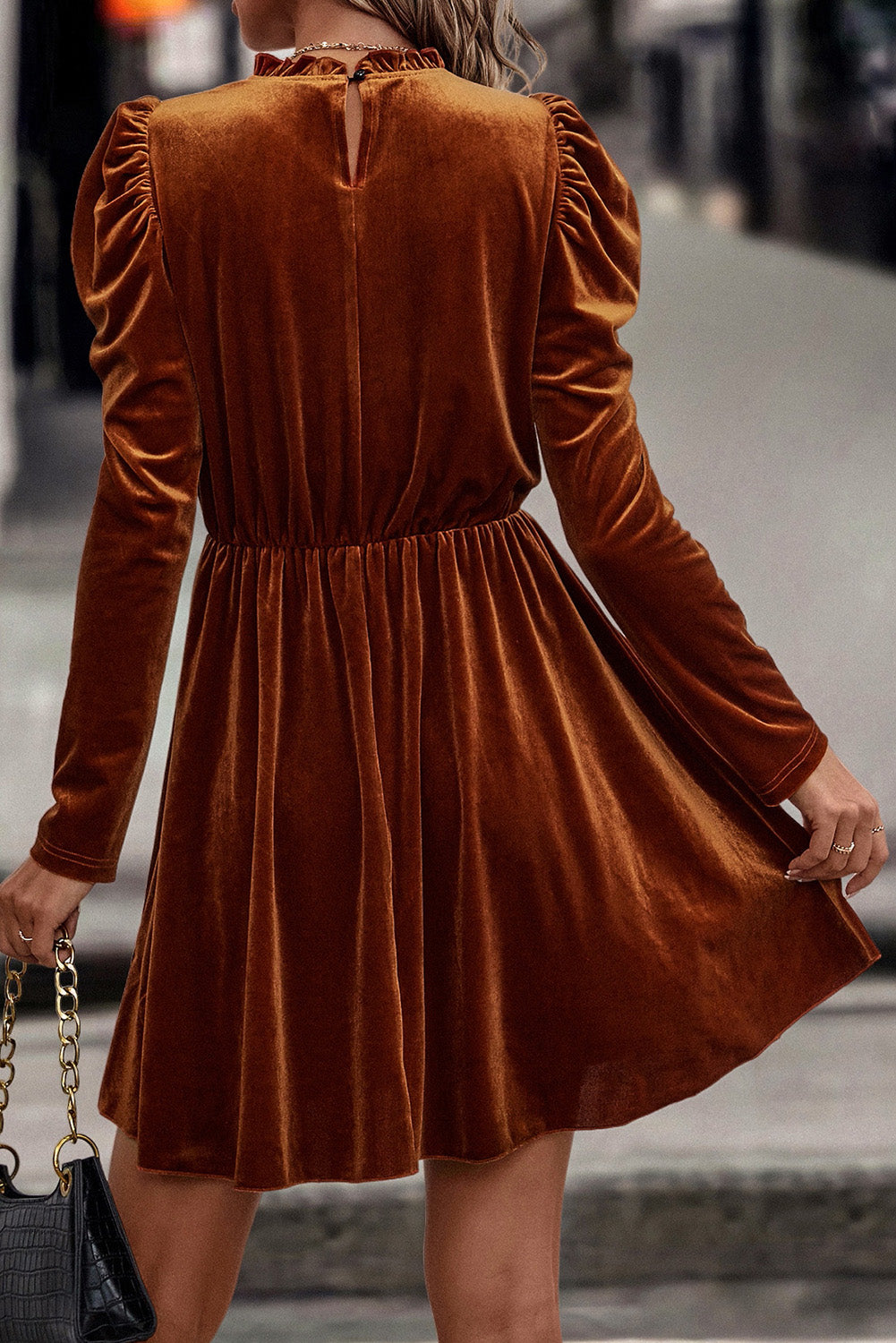 Women's Dress Featuring Velvet Frill-Trimmed Gigot Sleeve Swing