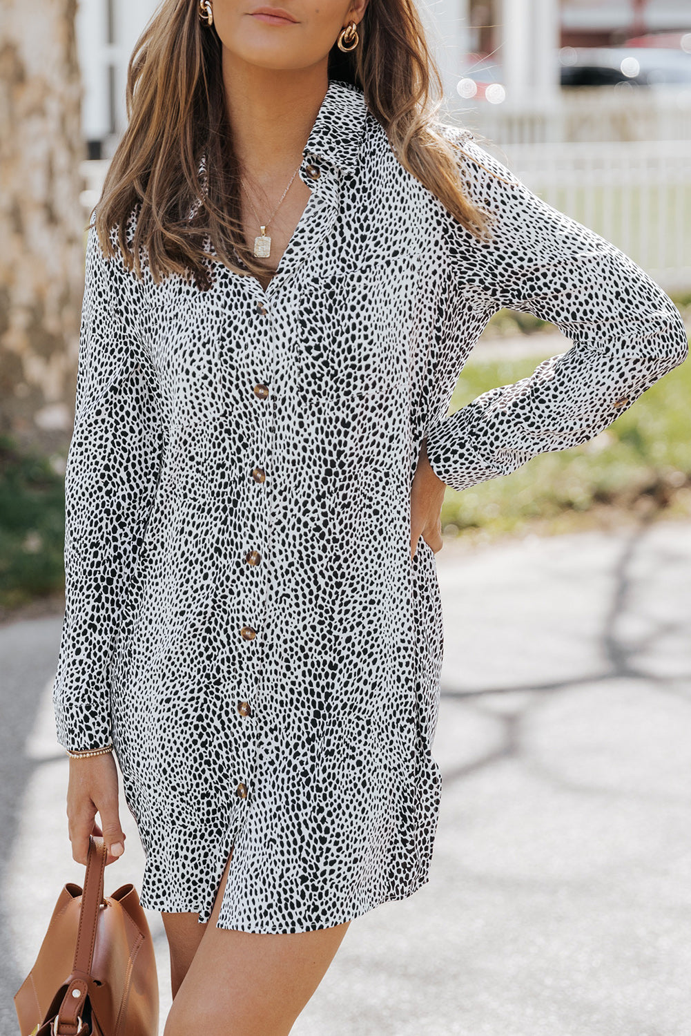 Women's Long-Sleeve Animal Print Shirt Dress