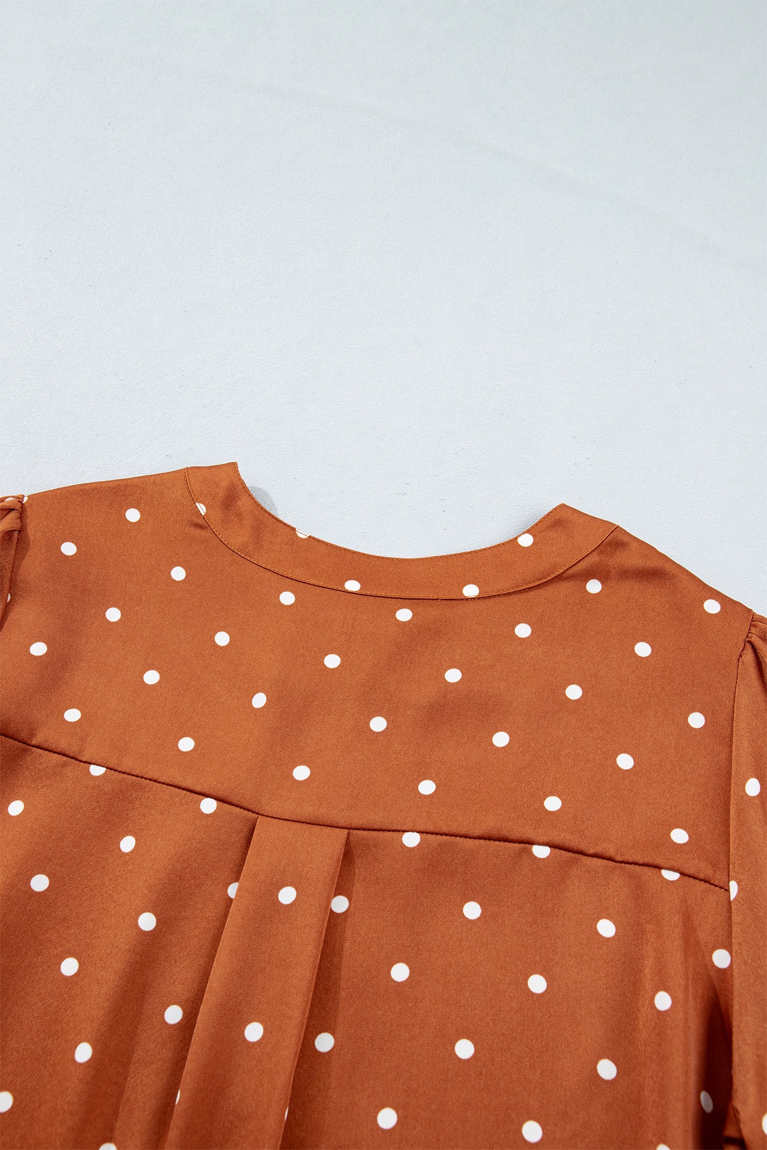 Long-Sleeved Polka-Dot V-Neck Blouse in Brown