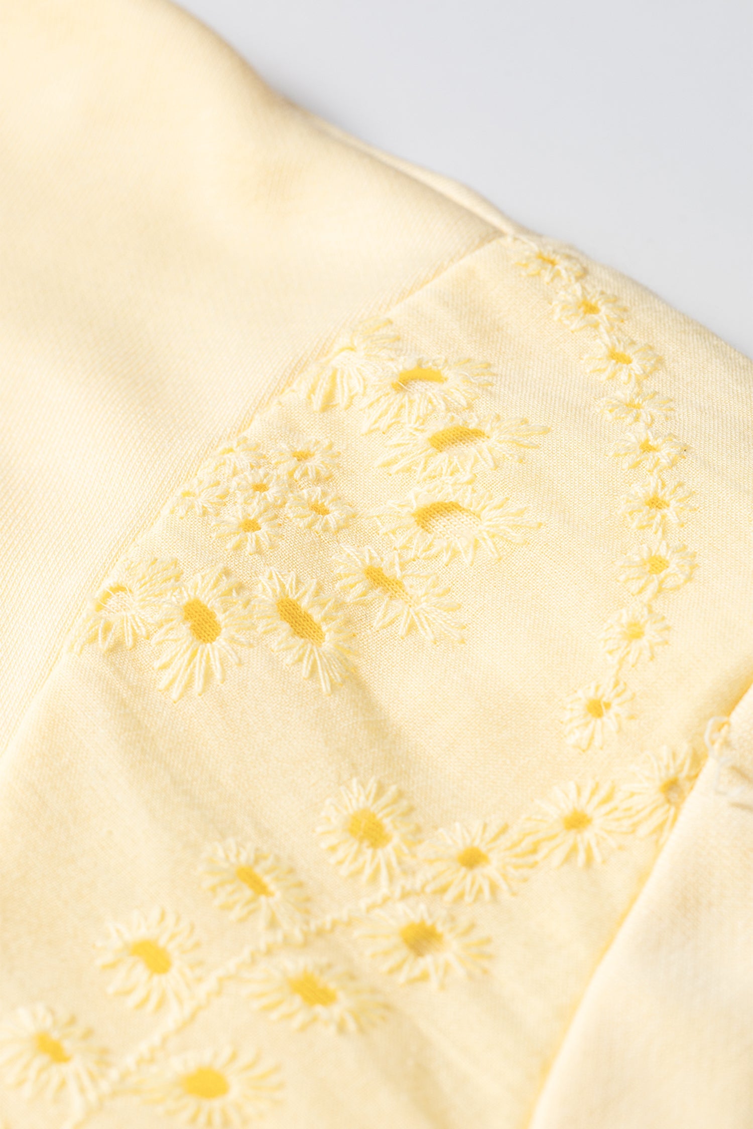 Cream Lace Solid Eyelet Panel Accent Plus Size 2pcs Outfit in Yellow