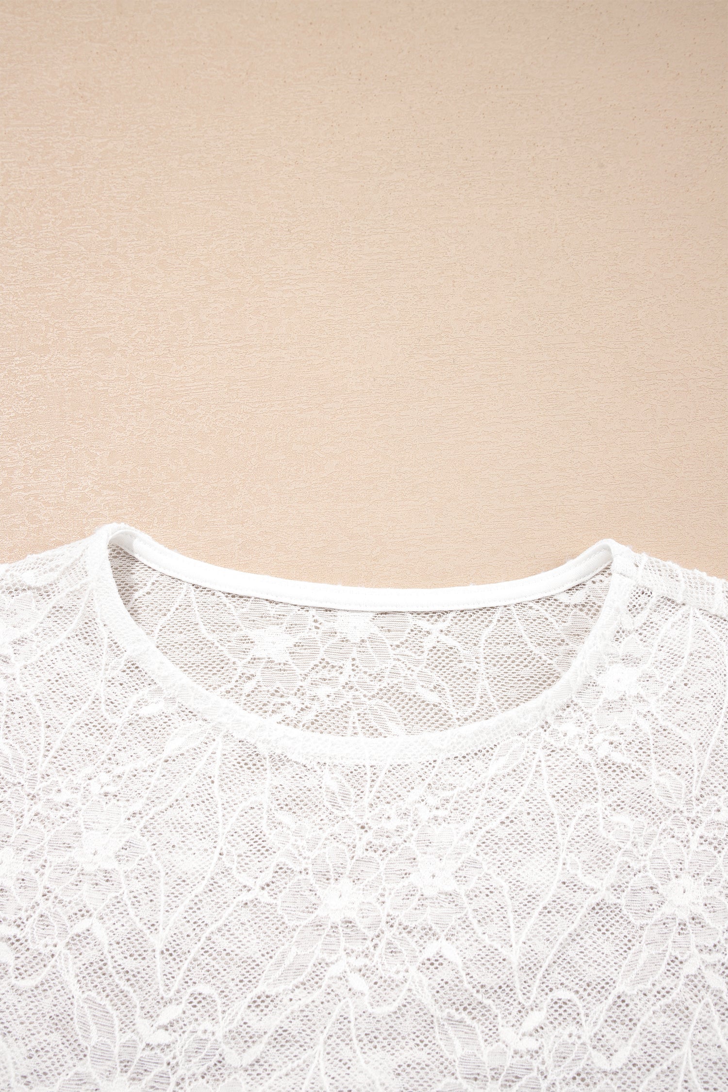 Sheer Mesh Long-Sleeved Mesh Lace Top in Beige