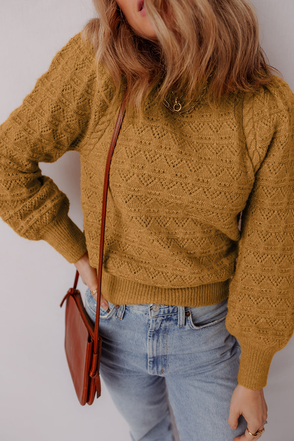 Hollow Out Crochet Rib-Knit Edge Balloon Sleeve Knit Top