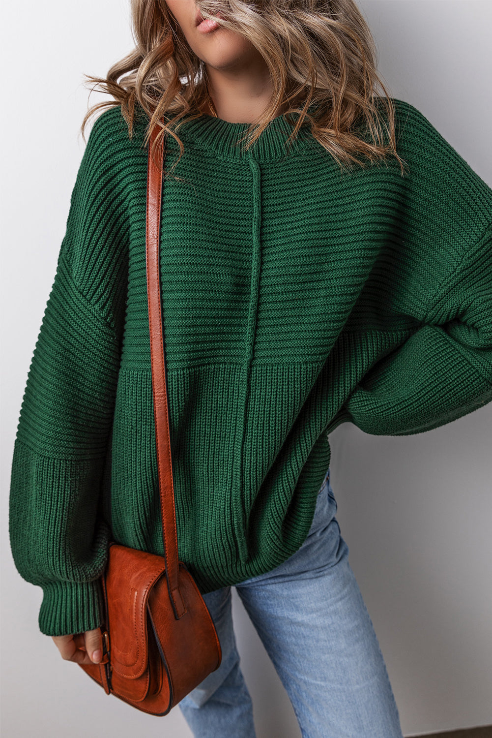 Textured Knit Crewneck Lantern Sleeve Sweater