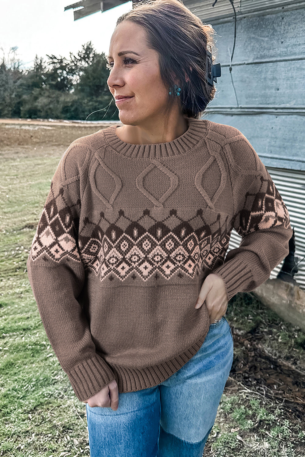Patterned Western Geometric Crew-Neck Knit Knit Top