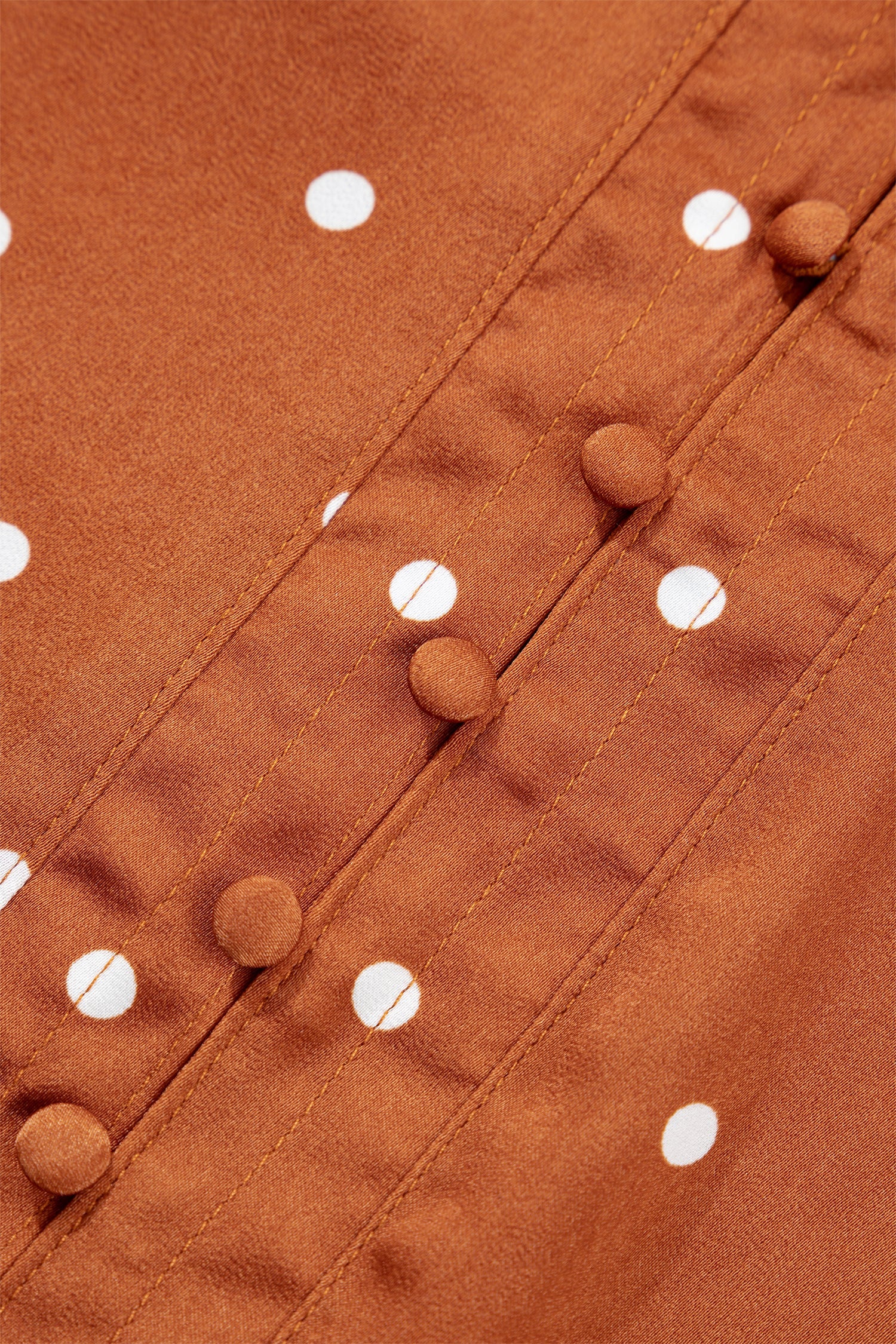 Long-Sleeved Polka-Dot V-Neck Blouse in Brown