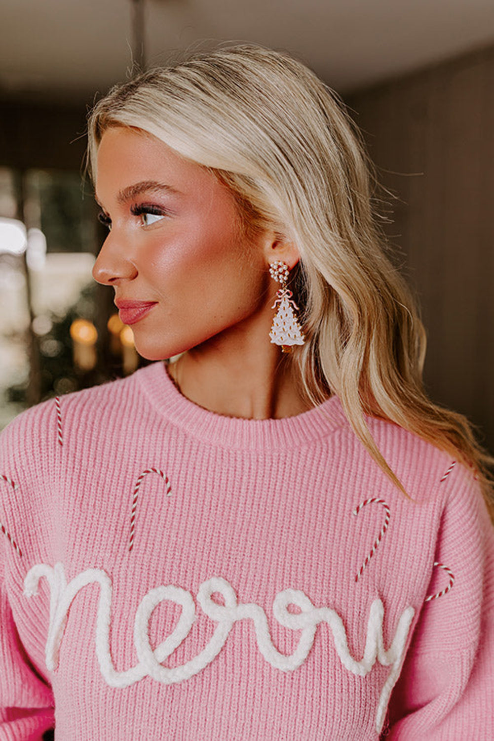 Cane Merry Candy Puffy Knit Crew-Neck Knit Top
