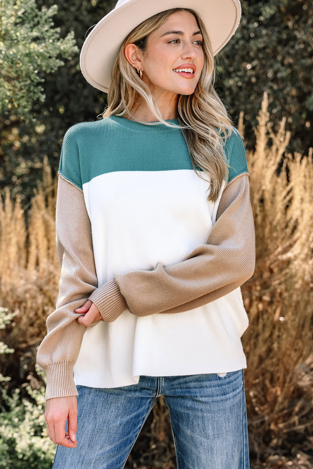 Plain Rib-Knit Colorblock Rib-Knit Knit Baggy Knit Top