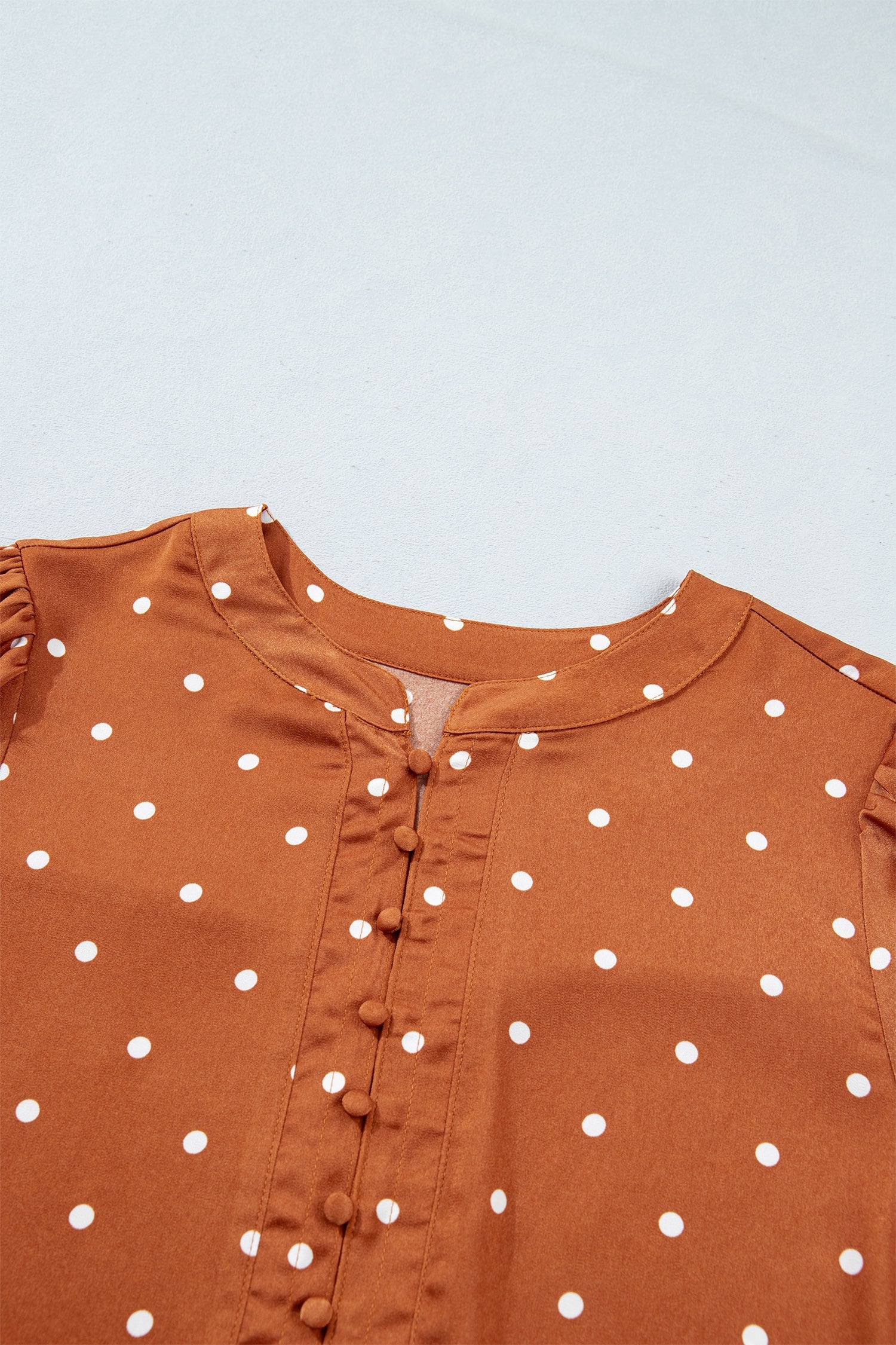 Long-Sleeved Polka-Dot V-Neck Blouse in Brown
