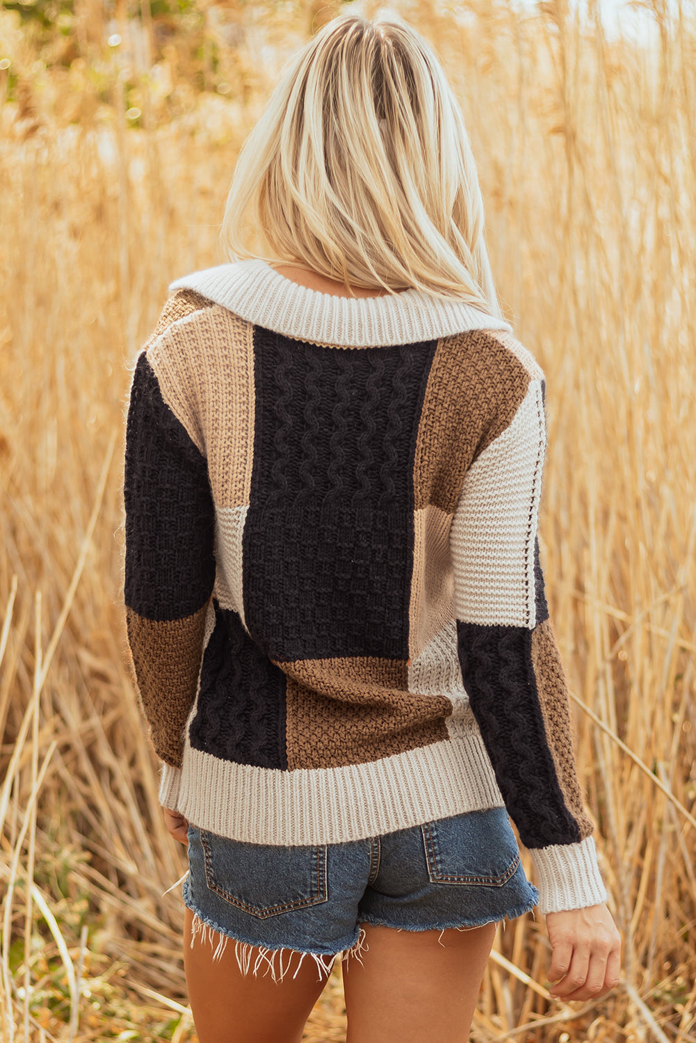 Knit Colorblock Cable Sleeve Buttons Collared Knit Top