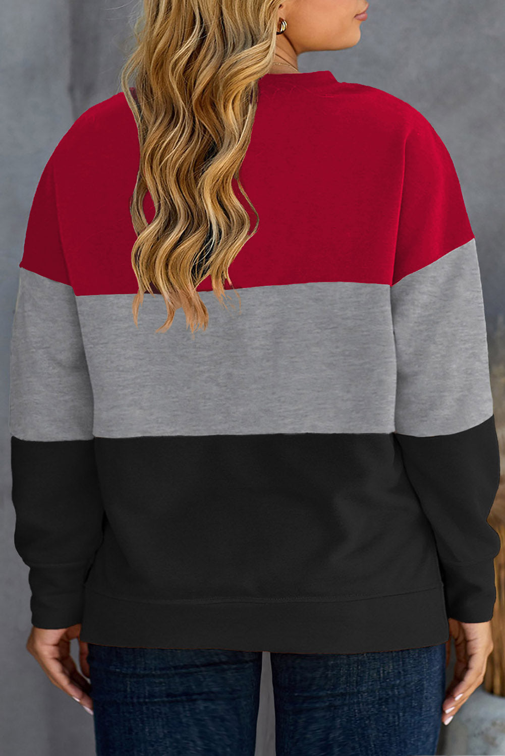 Crew Neck Colorblock Plus Size Sweashirt